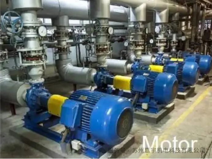 1751940886379681.jpg 66.jpg