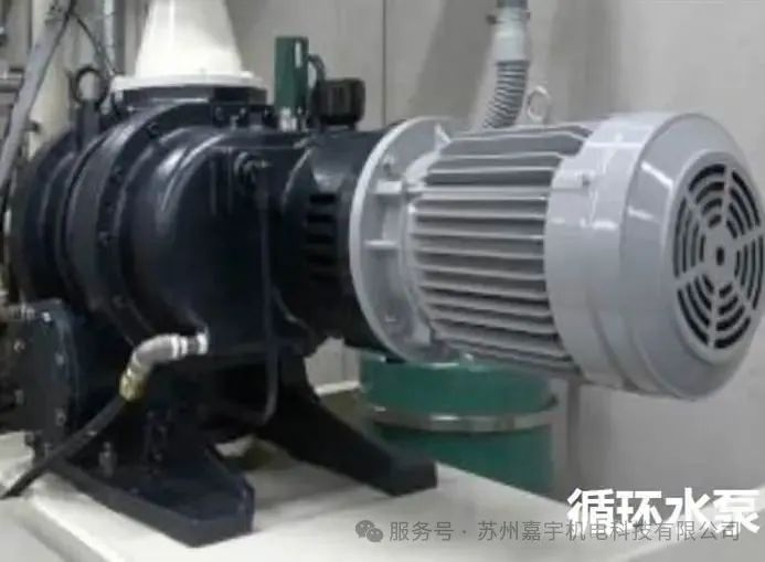 1751940990510648.jpg 88.jpg