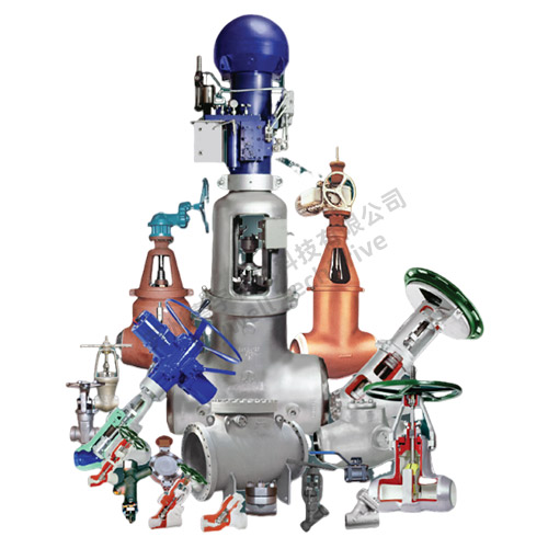 FLOWSERVE 核应用阀