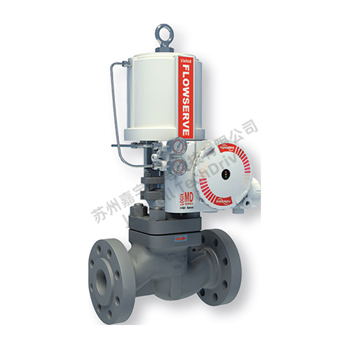 FLOWSERVE Mark One  Valtek